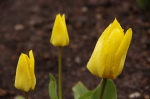 110423_suta_5 110423_suta_5