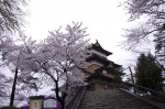 110423_suta_6 110423_suta_6