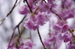 110423_suta_8 110423_suta_8