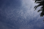 うろこ雲