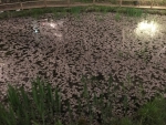 高遠城址公園