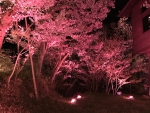 高遠城址公園