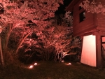 高遠城址公園