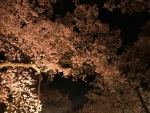 高遠城址公園