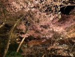 高遠城址公園