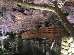 高遠城址公園