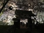 高遠城址公園