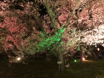 高遠城址公園