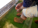 100123_miasa_2 100123_miasa_2