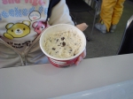 100130_ina_11 100130_ina_11