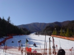 100130_ina_12 100130_ina_12