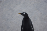 100213_nagoya_02 100213_nagoya_02