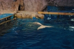 100213_nagoya_03 100213_nagoya_03