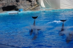 100213_nagoya_04 100213_nagoya_04