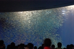 100213_nagoya_05 100213_nagoya_05