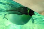 100213_nagoya_06 100213_nagoya_06