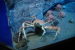 100213_nagoya_08 100213_nagoya_08