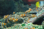 100213_nagoya_09 100213_nagoya_09