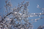 100214_uhyo_1 100214_uhyo_1