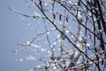 100214_uhyo_2 100214_uhyo_2