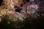 100410_takatou_1 100410_takatou_1