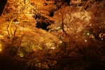 100410_takatou_2 100410_takatou_2