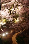 100410_takatou_3 100410_takatou_3