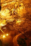 100410_takatou_4 100410_takatou_4