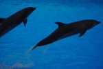 100424_nagoya_02 100424_nagoya_02