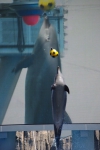 100424_nagoya_03 100424_nagoya_03