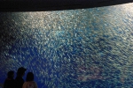100424_nagoya_04 100424_nagoya_04