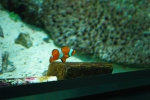 100424_nagoya_08 100424_nagoya_08