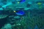 100424_nagoya_09 100424_nagoya_09