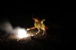 100801_hanabi_1 花火