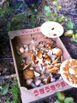 IMG_0642 IMG_0642