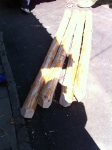 IMG_0647 IMG_0647