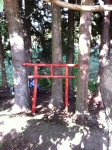 IMG_0648 IMG_0648