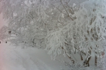 101230_goryu_2 101230_goryu_2