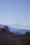 _IGP4284 _IGP4284