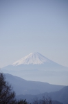_IGP4285 _IGP4285