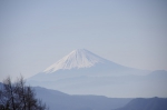 _IGP4286 _IGP4286