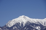 _IGP4294 _IGP4294