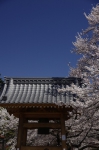 _IGP4967 _IGP4967