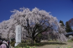 _IGP5021 _IGP5021