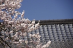 _IGP5091 _IGP5091