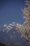 _IGP5204 _IGP5204