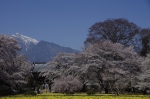 _IGP5291 _IGP5291