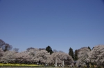 _IGP5297 _IGP5297
