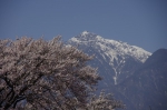 _IGP5309 _IGP5309