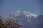 _IGP5315 _IGP5315
